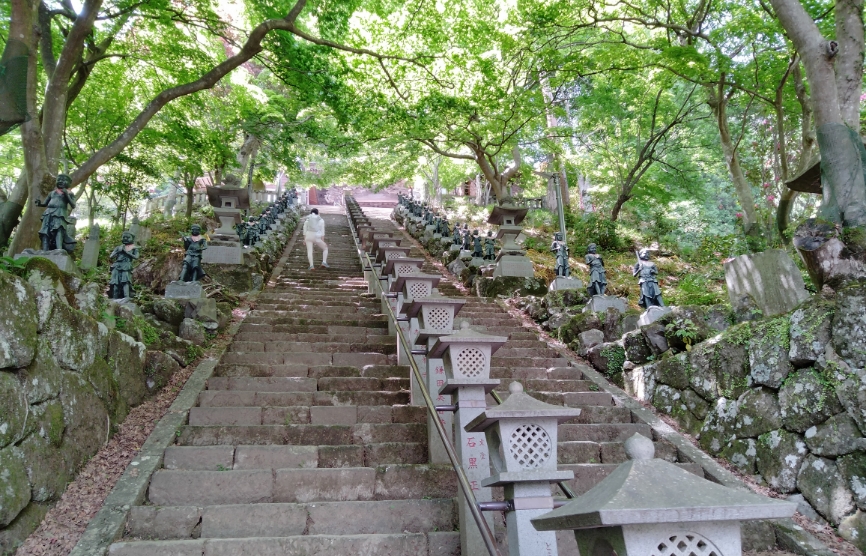 風景の画像